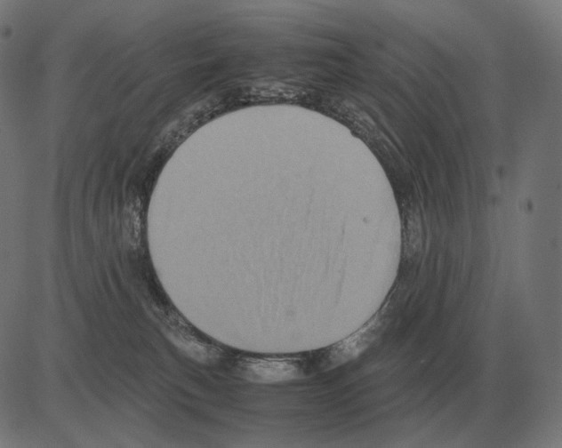 X0000081490183200702100039