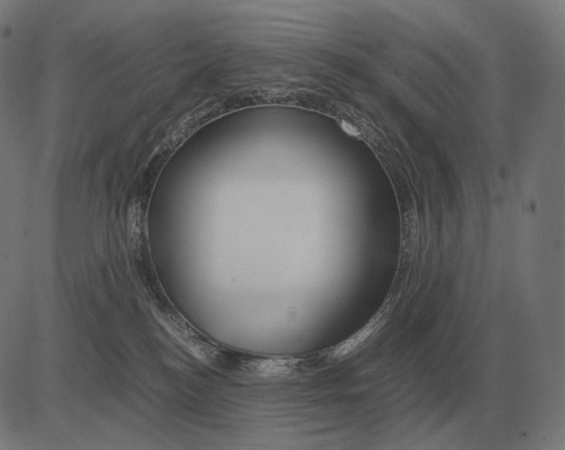 X0000081490184200702100039