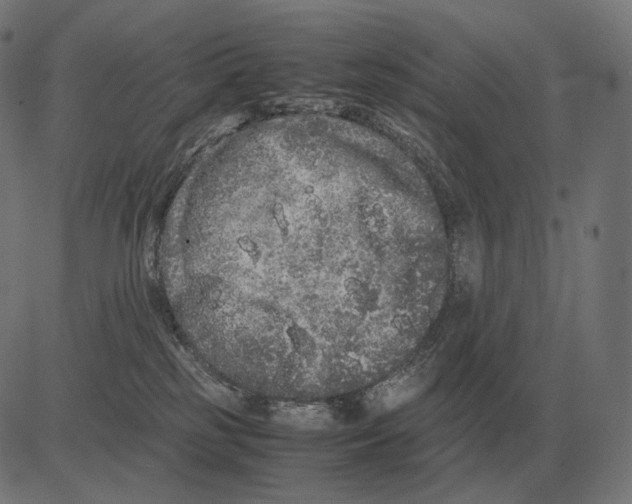 X0000081490185200702100039