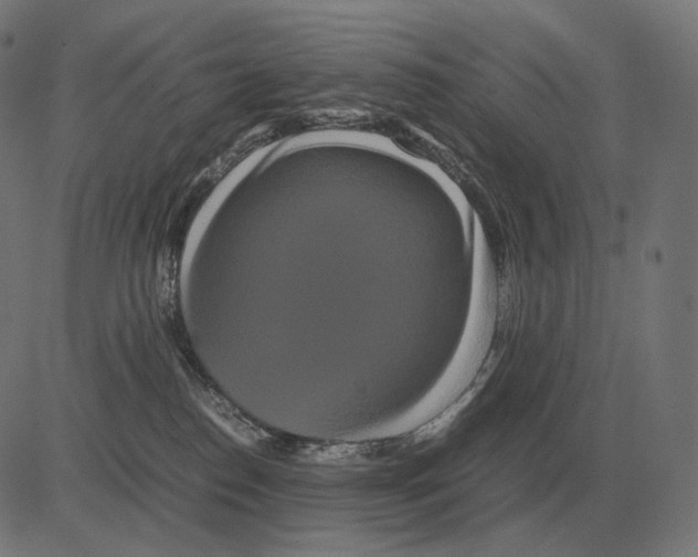 X0000081490186200702100039