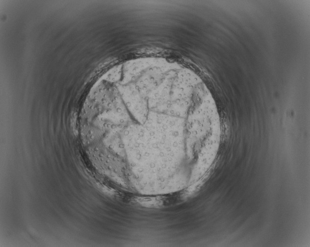 X0000081490187200702100039