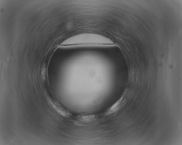 X0000081490188200702100039