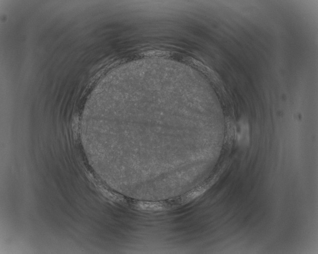 X0000081490189200702100039