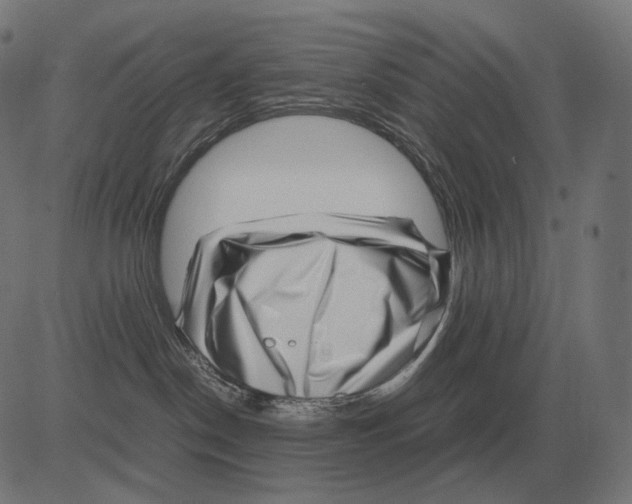 X0000081490190200702100039