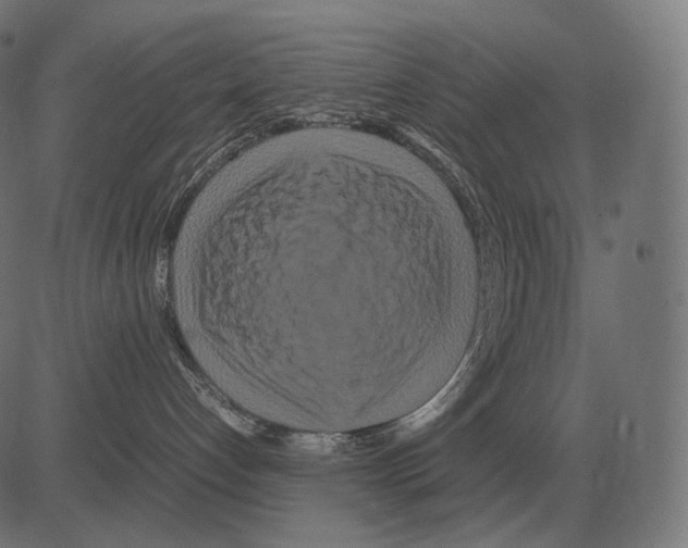 X0000081490192200702100039