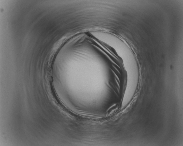 X0000081490193200702100038