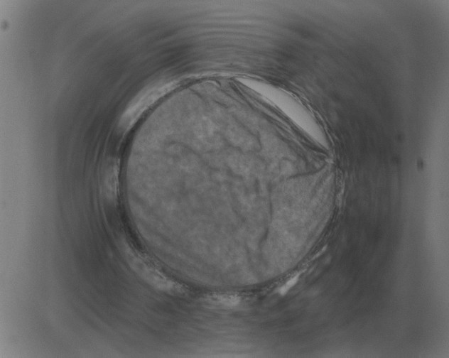 X0000081490194200702100038