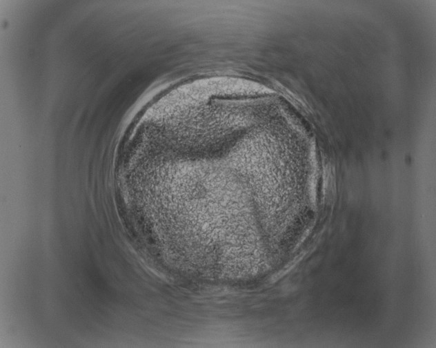 X0000081490195200702100038