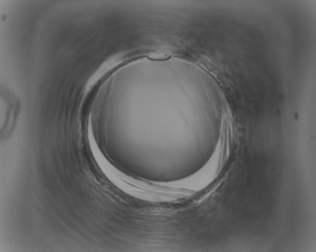 X0000081490198200702100038