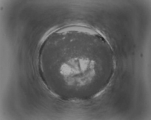 X0000081490199200702100038