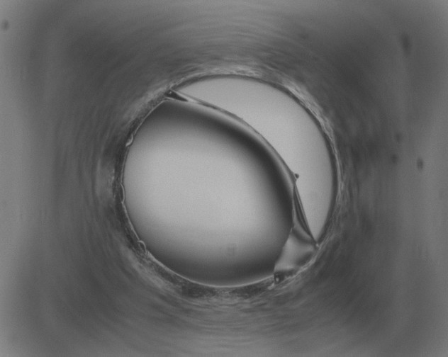 X0000081490201200702100038