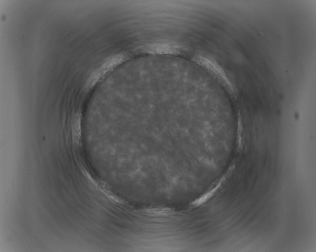 X0000081490202200702100038