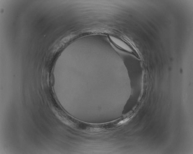 X0000081490205200702100038