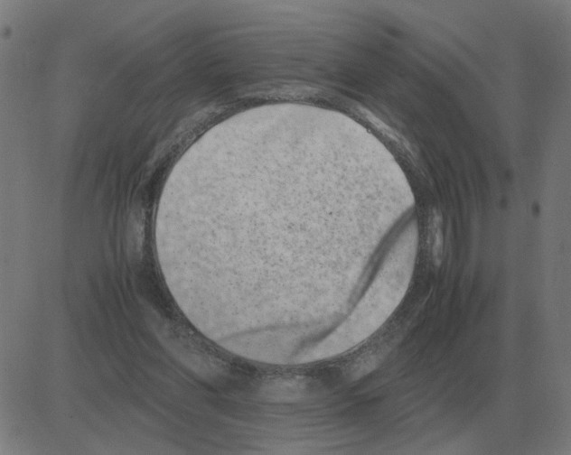 X0000081490206200702100038