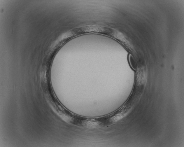 X0000081490207200702100038