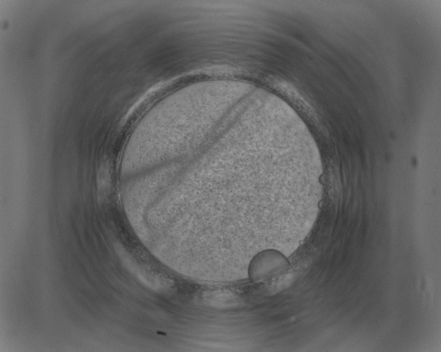 X0000081490208200702100038