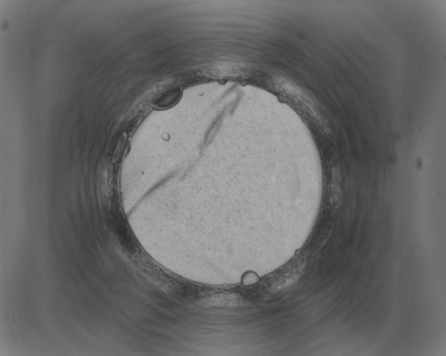 X0000081490210200702100038