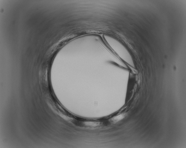 X0000081490211200702100038