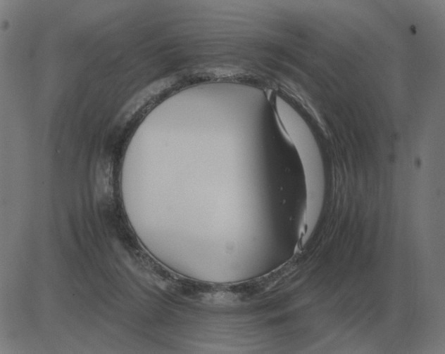 X0000081490212200702100038