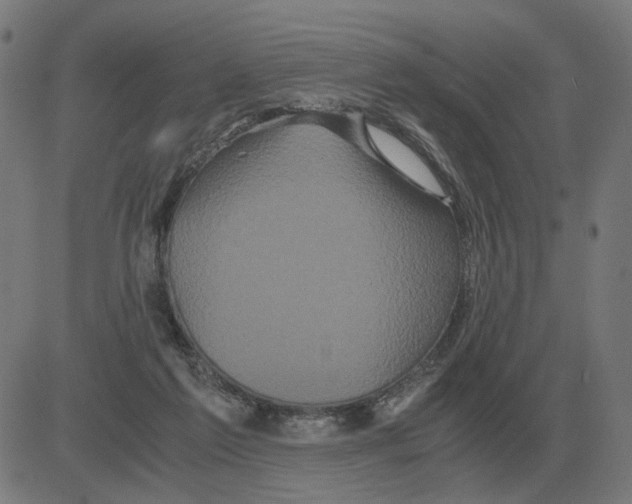 X0000081490213200702100038