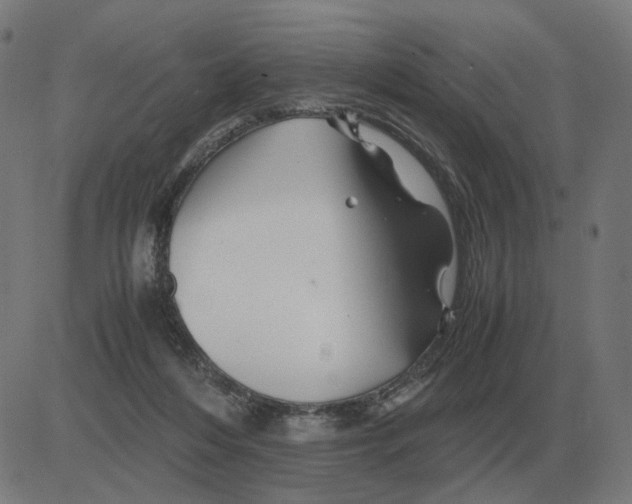 X0000081490216200702100038