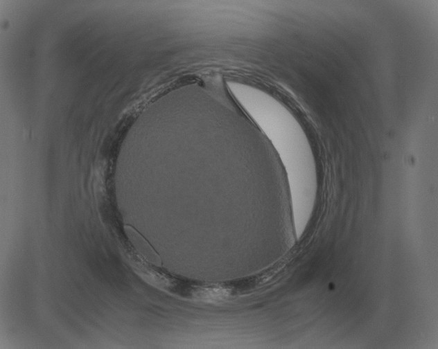 X0000081490217200702100038