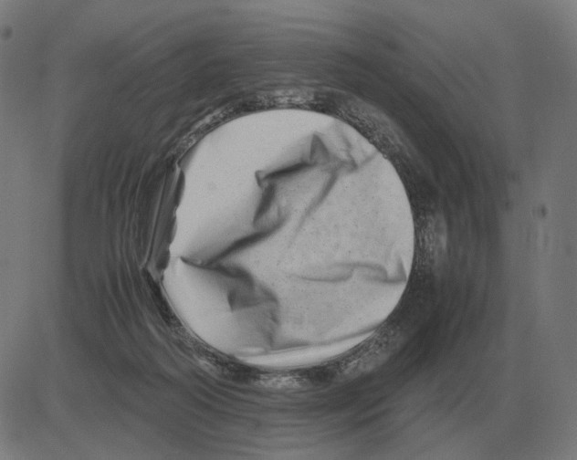 X0000081490218200702100038