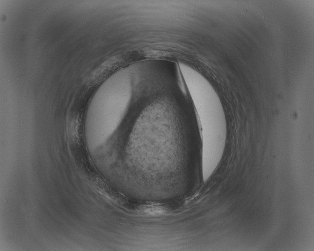 X0000081490219200702100038