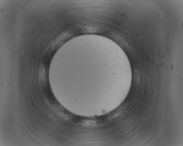 X0000081490220200702100038