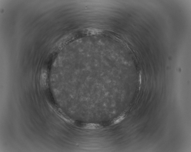 X0000081490222200702100038