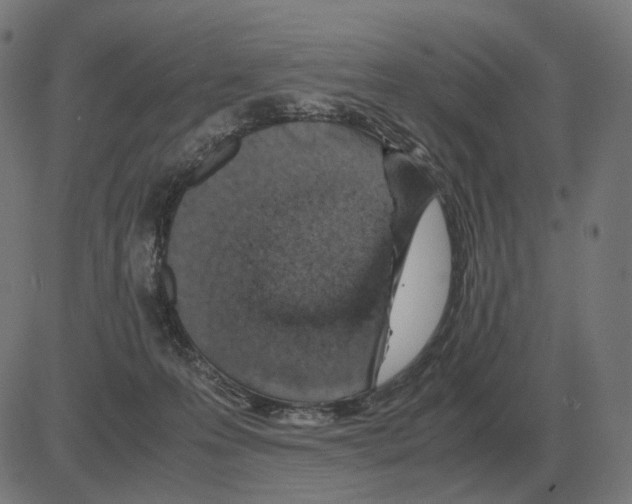 X0000081490223200702100038