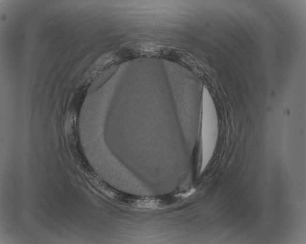 X0000081490225200702100038