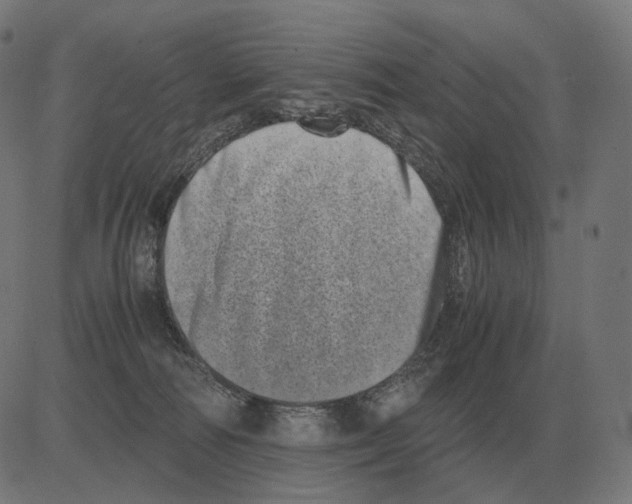 X0000081490226200702100038