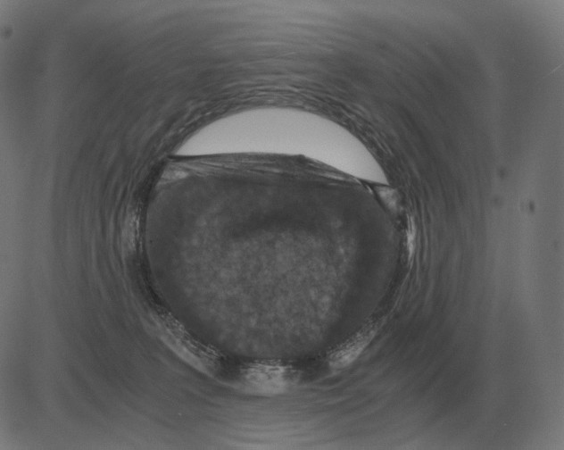 X0000081490227200702100038