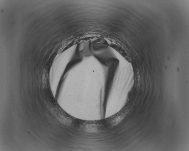 X0000081490228200702100038