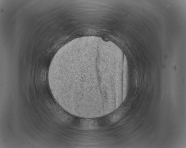 X0000081490230200702100038