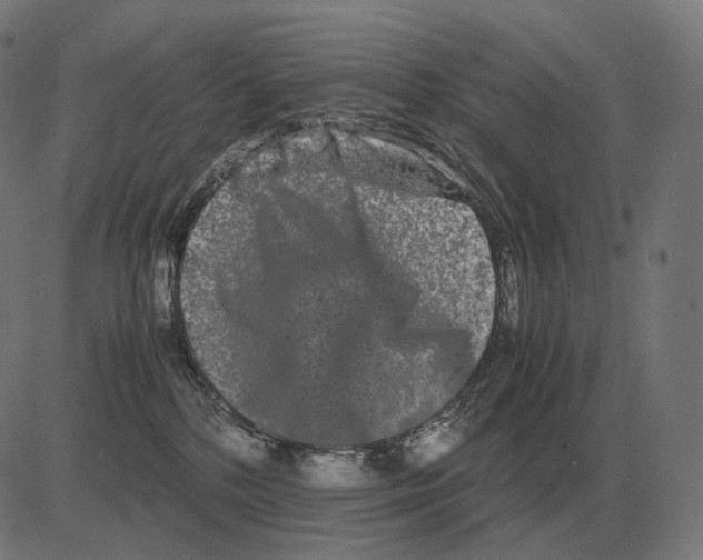 X0000081490232200702100038