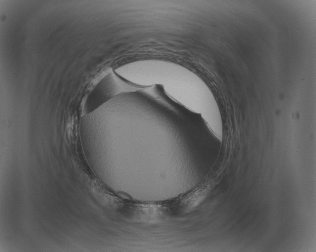 X0000081490233200702100038