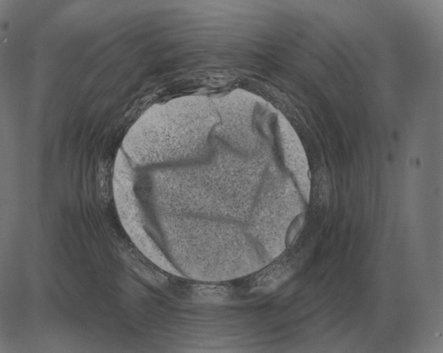 X0000081490234200702100038