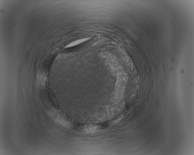 X0000081490235200702100038