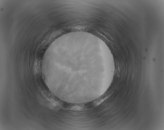 X0000081490236200702100038