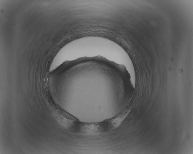 X0000081490237200702100038