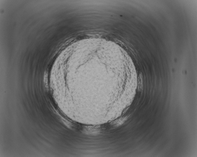 X0000081490238200702100038