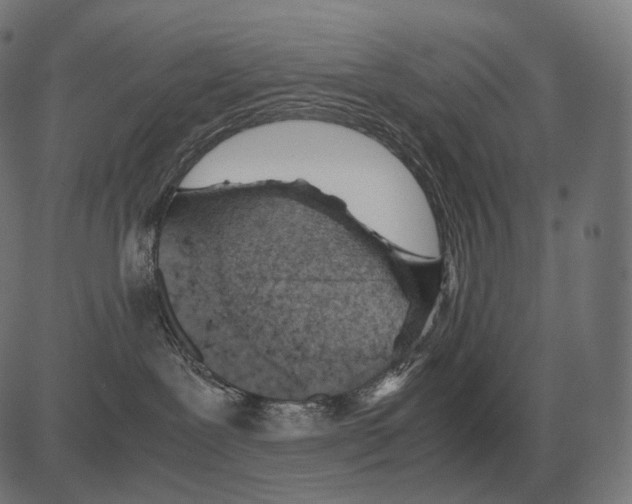 X0000081490239200702100038