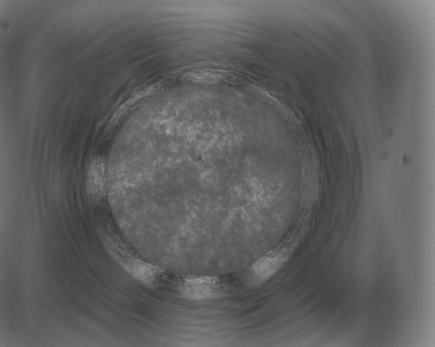 X0000081490240200702100038