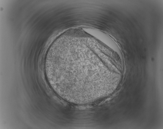 X0000081490241200702100037