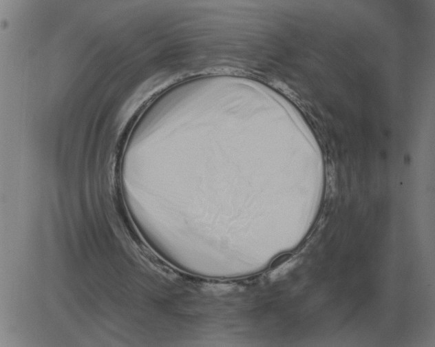 X0000081490242200702100037