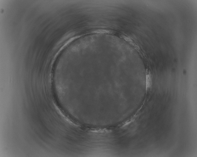 X0000081490243200702100037