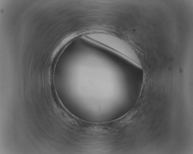 X0000081490244200702100037