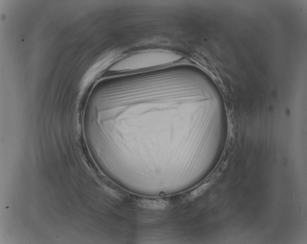 X0000081490245200702100037